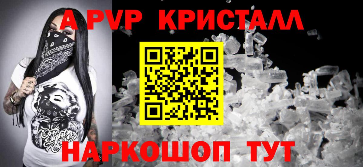 A-PVP СК Кингисепп